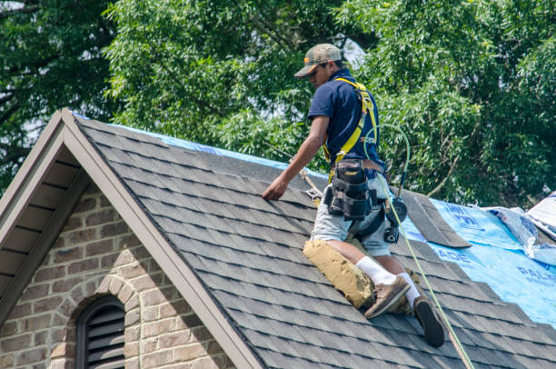 Roof Waterproofing Services in Lexington, WA